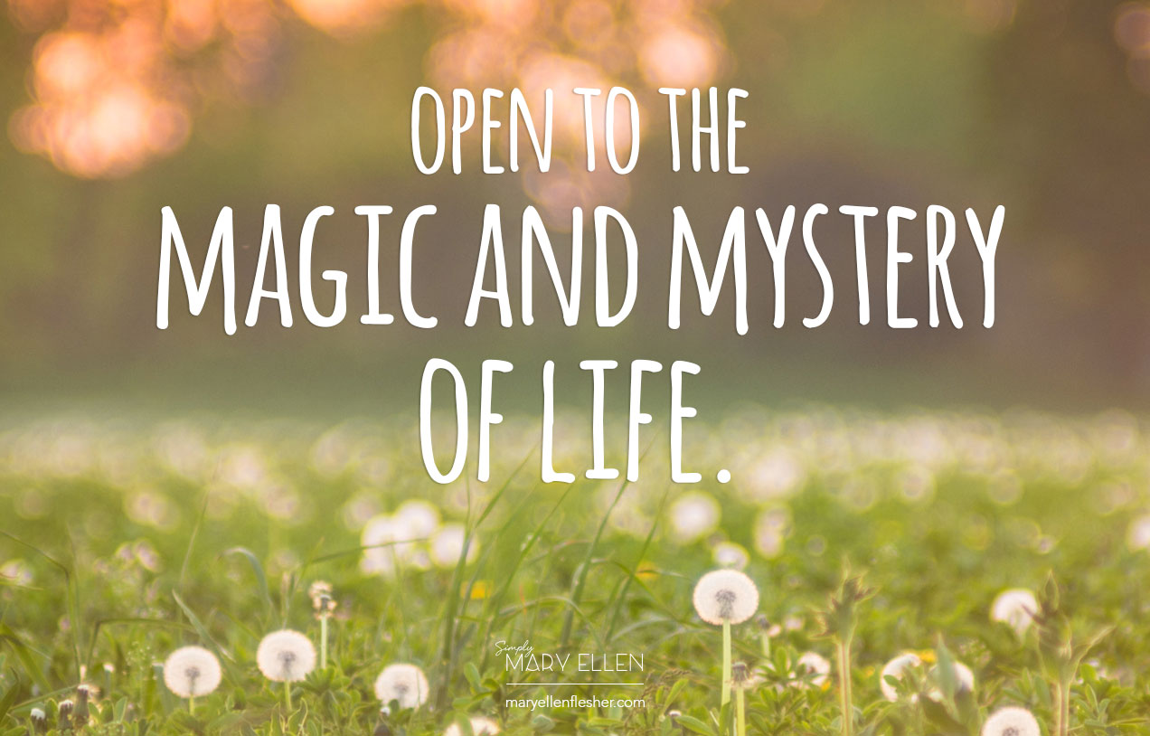 Open to the magic and mystery of life. Simply Mary Ellen.